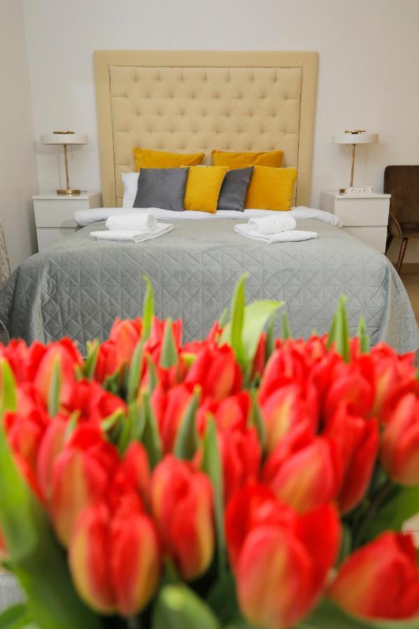 Bed & Breakfast Garden40 Belgrad Exterior foto