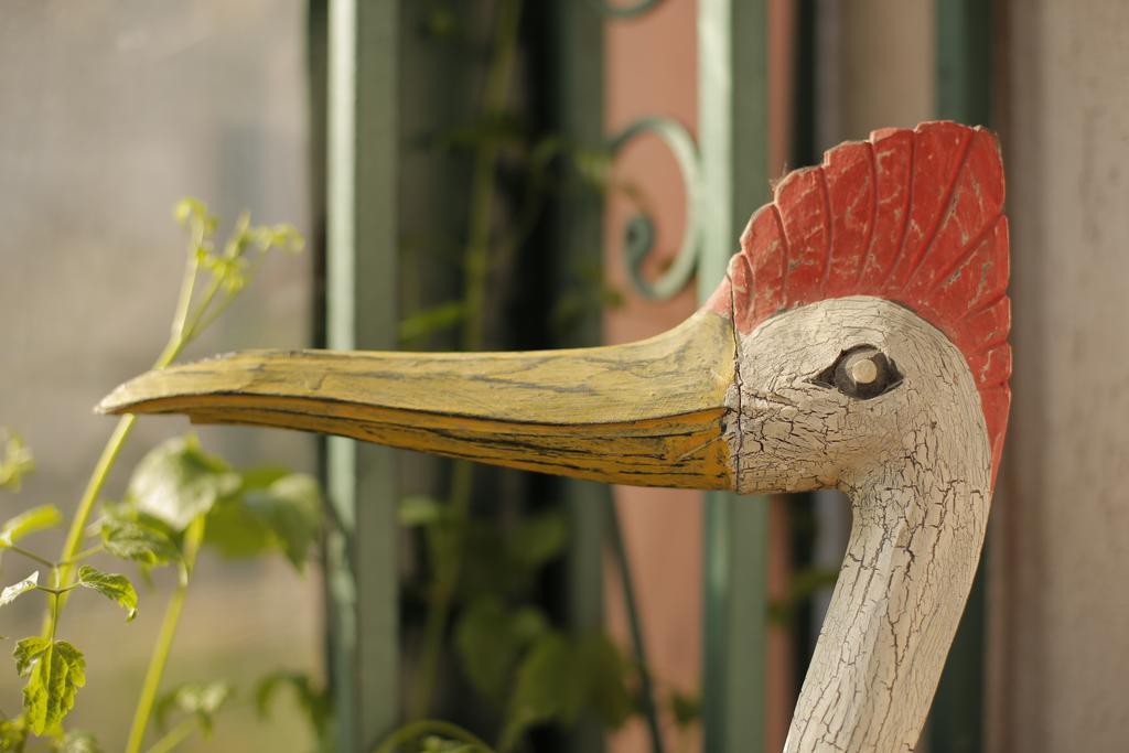Bed & Breakfast Garden40 Belgrad Exterior foto